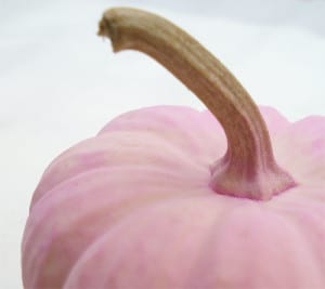 pink-pumpkin