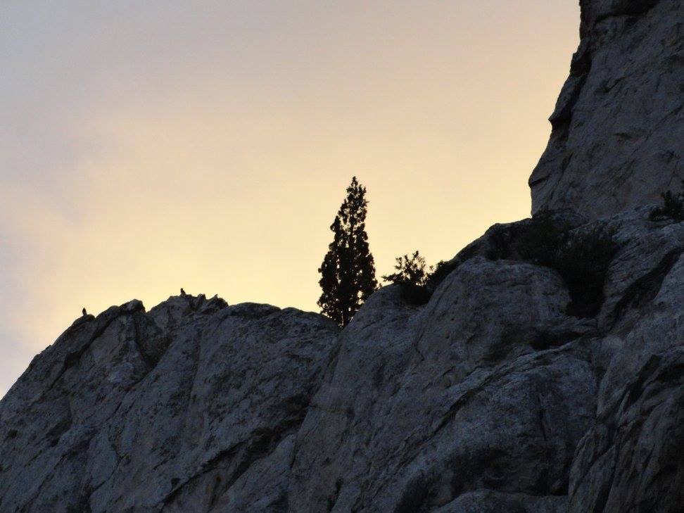 Colorado Spring, CO 2015 (C) Michelle Pearson